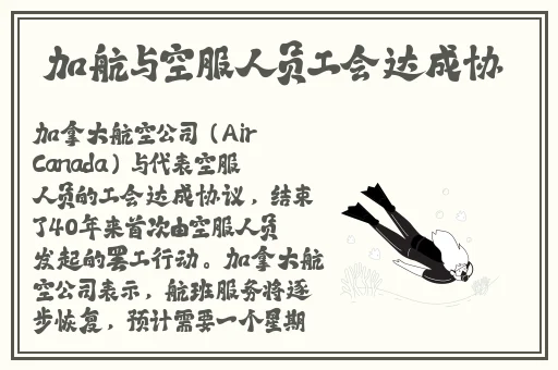 91精品啪国产在线观看免费